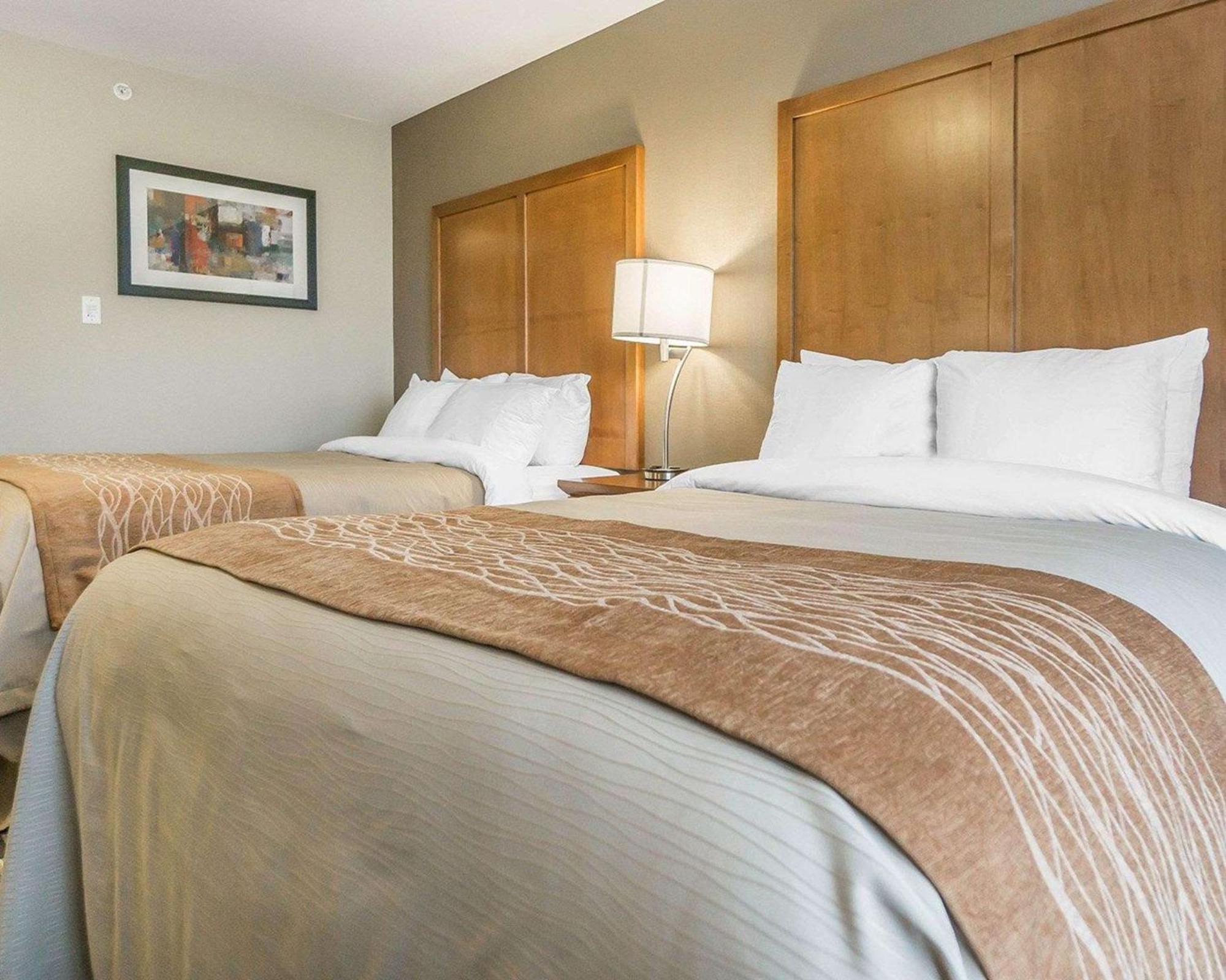 Comfort Inn & Suites Edmonton International Airport Nisku Extérieur photo